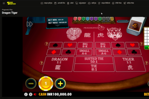 Dragon Vs Tiger Slots Frequently Asked Questions