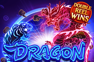 What is Dragon Vs Tiger Slots