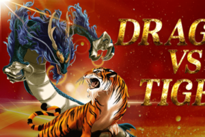 Dragon Vs Tiger Slots Bonus Features