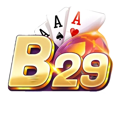 B29